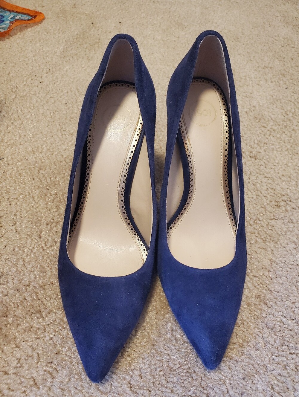 1901 Navy Suede Pointed-Toe Pumps